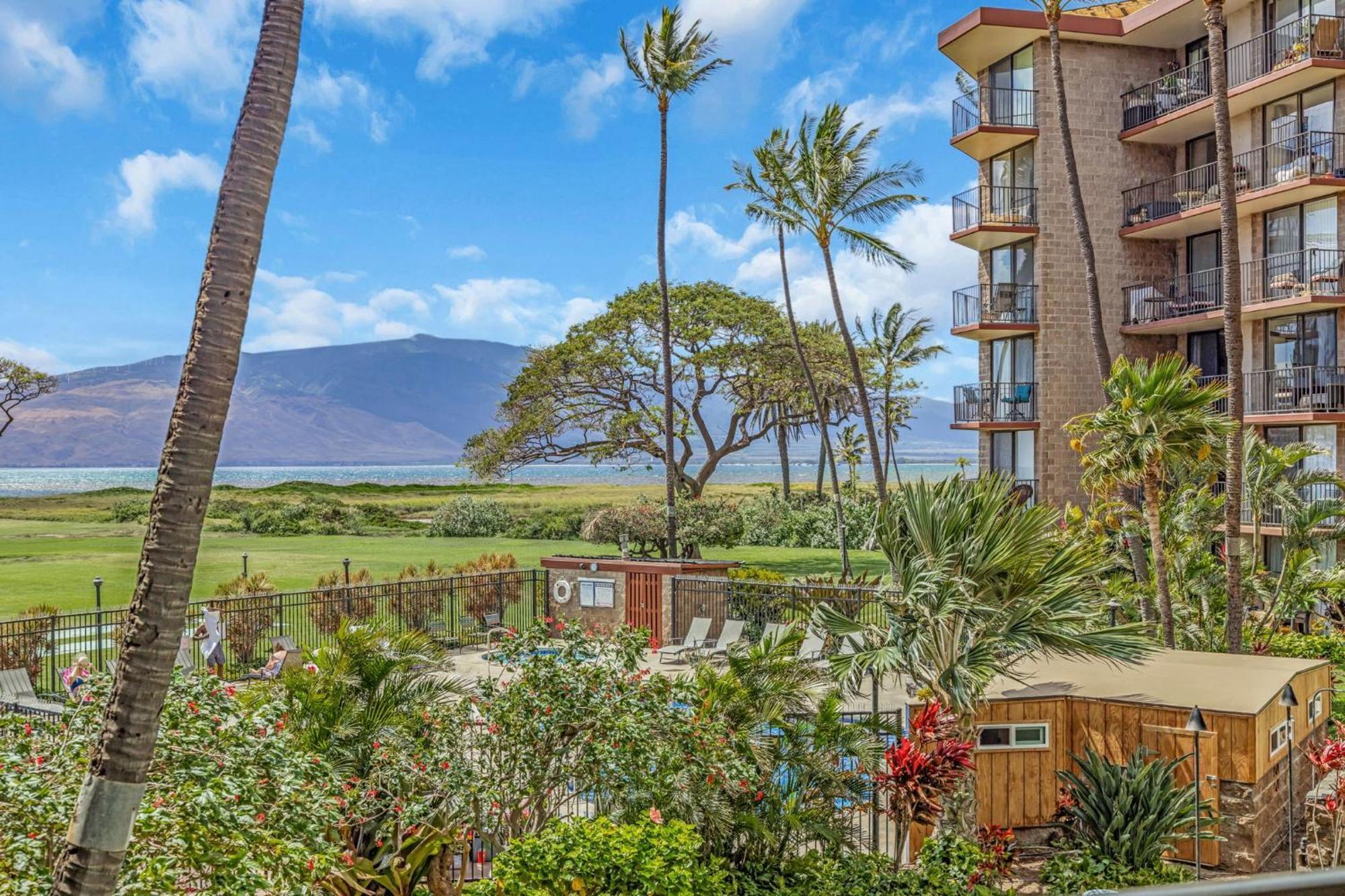 Apartament Kauhale Makai 230 Kihei Zewnętrze zdjęcie